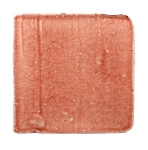 Salmo